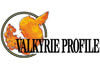 Square Enix anuncia Valkyrie Profile DS para Europa