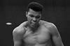 La saga Fight Night de boxeo quedar� 'aparcada' mientras EA se centra en UFC