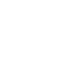 Wii